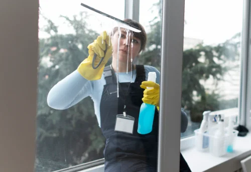 Nettoyage de vitres intérieures et extérieures à Orbigny